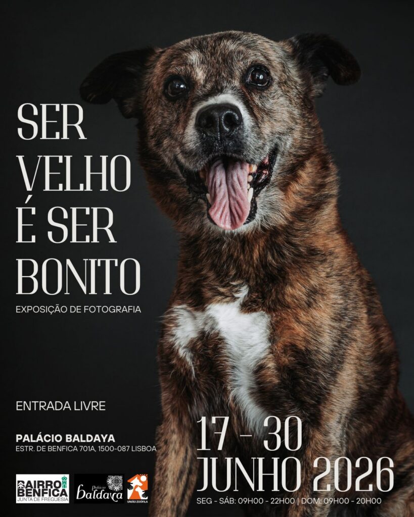 Ser Velho